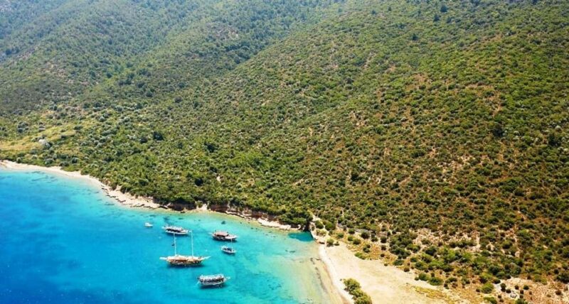 Bodrum: Beaches and Islands Boat Tour With Lunch - Key Points