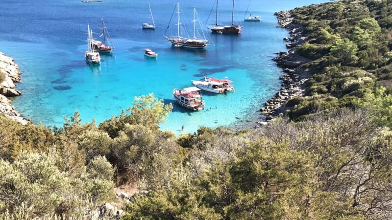 Bodrum: Boat Tour for Mein Schiff Cruise Passengers - Highlights of the Experience