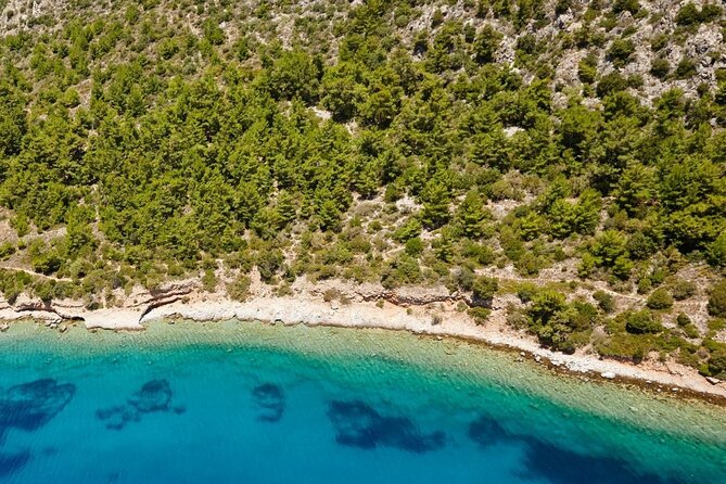 Bodrum Boat Trip With Lunch and All Soft Drinks - Accessibility Information