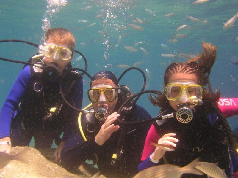 Bodrum Diving Day for Advanced and Beginner Divers - Key Points