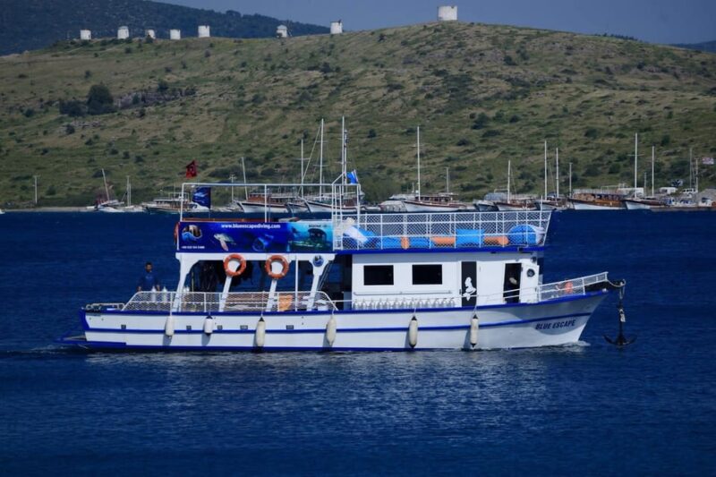 Bodrum Diving Day for Advanced and Beginner Divers - Diving Experience