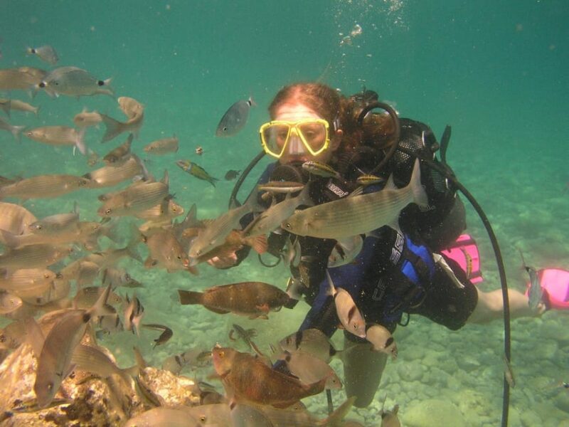 Bodrum Diving Day for Advanced and Beginner Divers - Location and Pickup