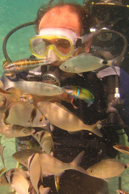 Bodrum Diving Day for Advanced and Beginner Divers - Inclusions
