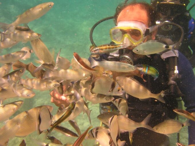 Bodrum Diving Day for Advanced and Beginner Divers - Frequently Asked Questions