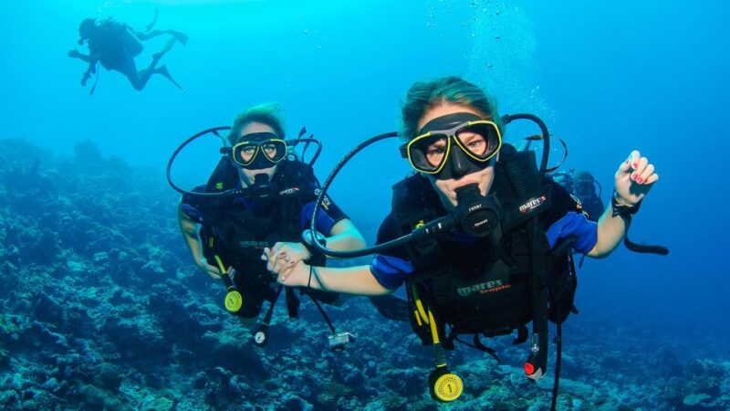 Bodrum: Full-Day Scuba Diving Tour - Diving Experience