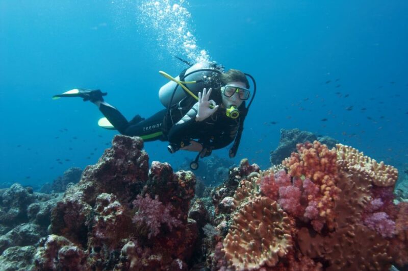 Bodrum: Full-Day Scuba Diving Tour - Booking Information