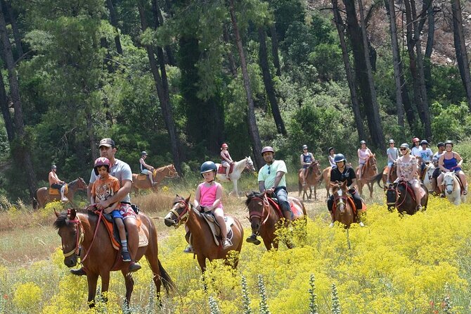Bodrum Horse Riding Experience W/ Hotel Transfer Service - Additional Information