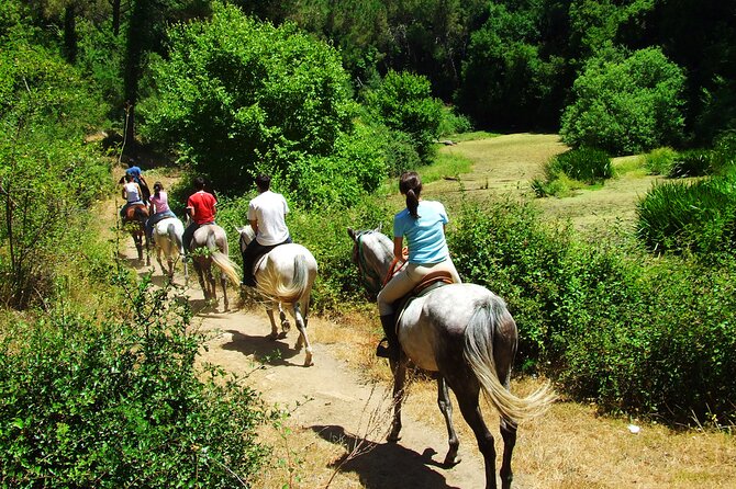 Bodrum Horse Riding Experience W/ Hotel Transfer Service - Cancellation Policy