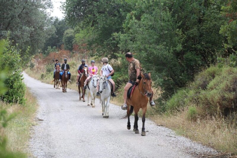 Bodrum Horse Riding With Final in the Sea - Included Services