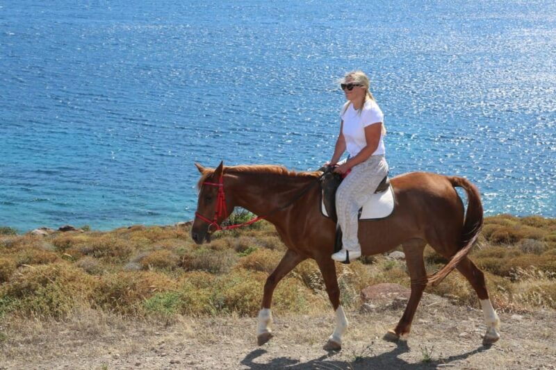 Bodrum Horse Riding With Final in the Sea - Safety Precautions