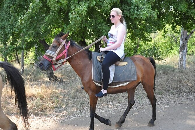 Bodrum Horse Safari - Safety and Health Considerations