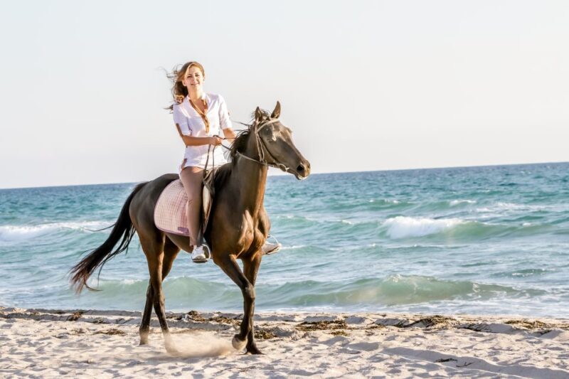 Bodrum: Horseback Riding Experience - Key Points