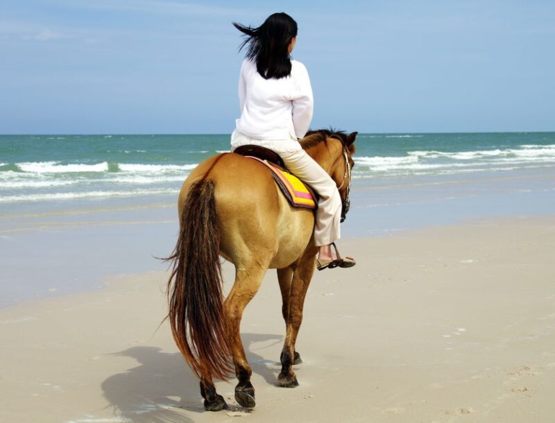 Bodrum: Horseback Riding Experience - Pricing and Booking