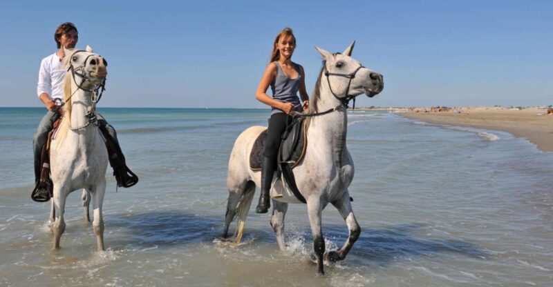 Bodrum: Horseback Riding Experience - Availability and Schedule