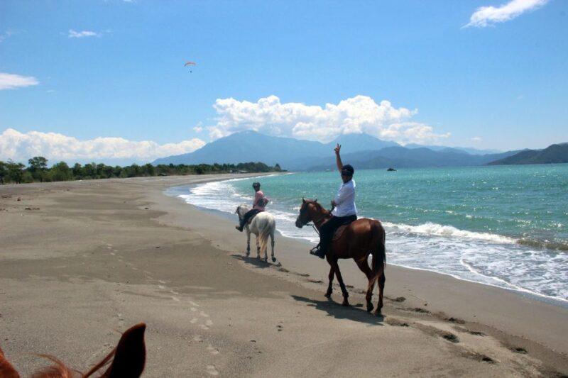 Bodrum: Horseback Riding Experience - Transportation and Briefing