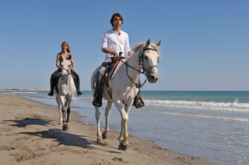 Bodrum: Horseback Riding Experience - Frequently Asked Questions