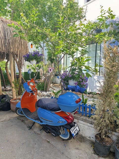Bodrum Like a Local by Walk - Explore Tiny Streets