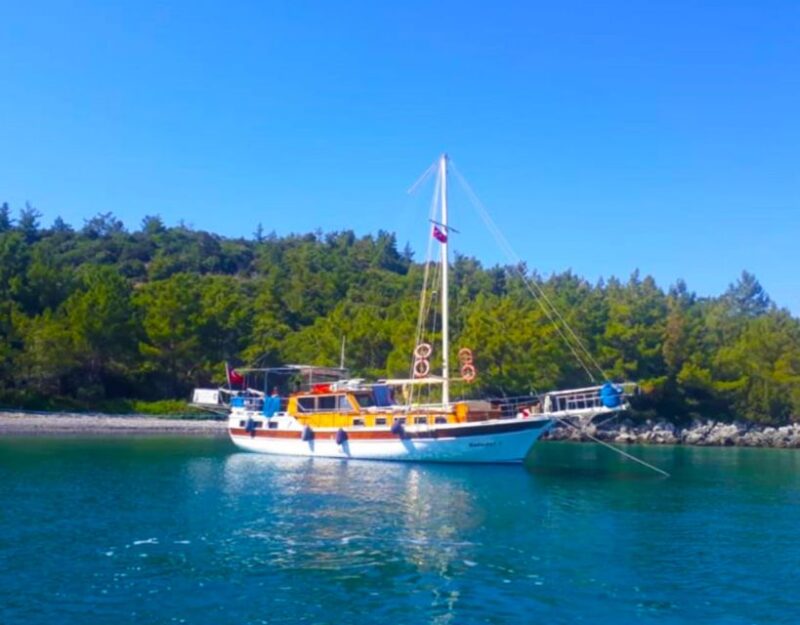 Bodrum Private Boat Trip - Experience and Activities