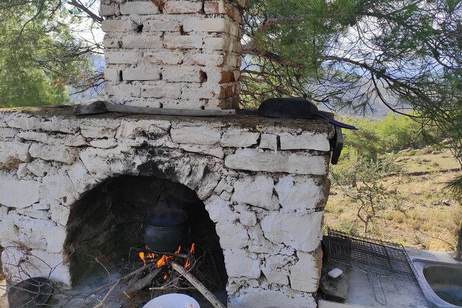 Bodrum Rustic Lunch and Olive Tasting Tour - Health and Accessibility