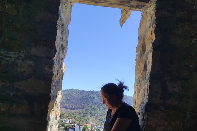 Bodrum Rustic Lunch and Olive Tasting Tour - Olive Tasting and Lunch