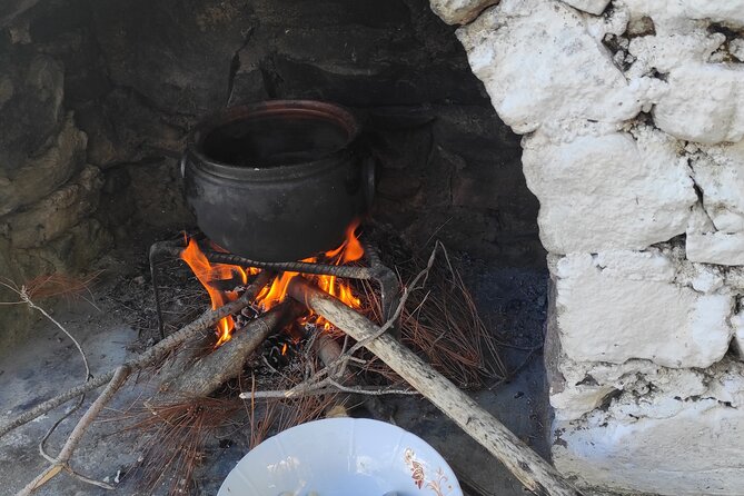 Bodrum Rustic Lunch and Olive Tasting Tour - Cancellation Policy