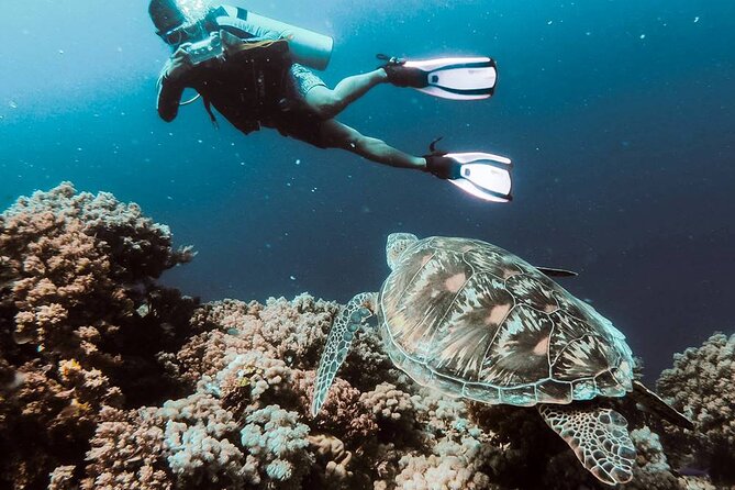 Bodrum Scuba Diving Tour With Free Hotel Transfer By Locals - Requirements