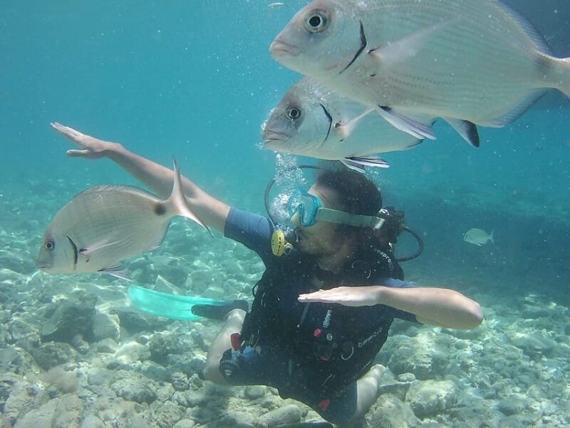 Bodrum: Scuba Diving Trip With Lunch - Experience Highlights