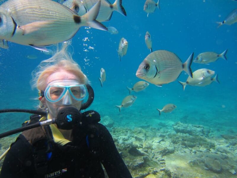 Bodrum: Scuba Diving Trip With Lunch - Inclusions
