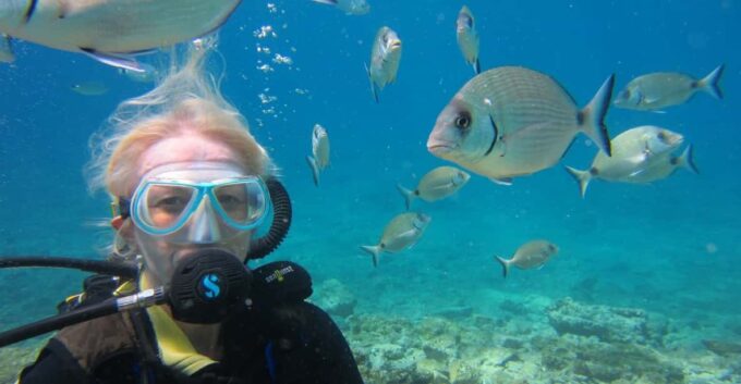 Bodrum: Scuba Diving Trip With Lunch - Frequently Asked Questions