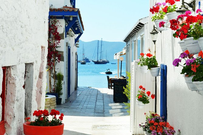 Bodrum Shore Excursion: Private Bodrum Express Sightseeing Tour - Accessibility and Participation