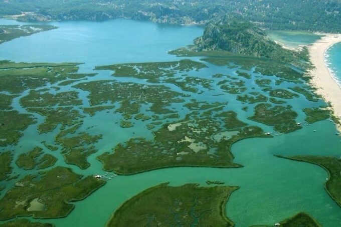 Bodrum to Dalyan Turtle Beach (Caunos) Guided Tour - Scenic Landscapes and Tranquil River