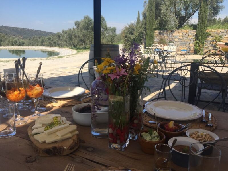 Bodrum Vineyard Tour With Dinner and Wine Pairing - Highlights of the Experience