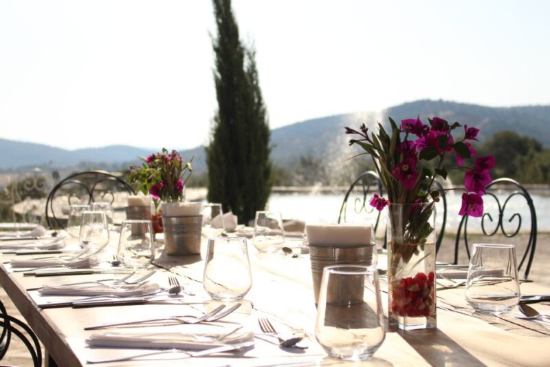 Bodrum Vineyard Tour With Dinner and Wine Pairing - History of the Vineyard