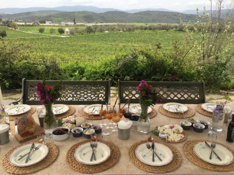 Bodrum Vineyard Tour With Dinner and Wine Pairing - Cancellation Policy and Reservations