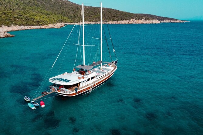 Bodrum Vip Private Gulet Tour - Transportation and Logistics