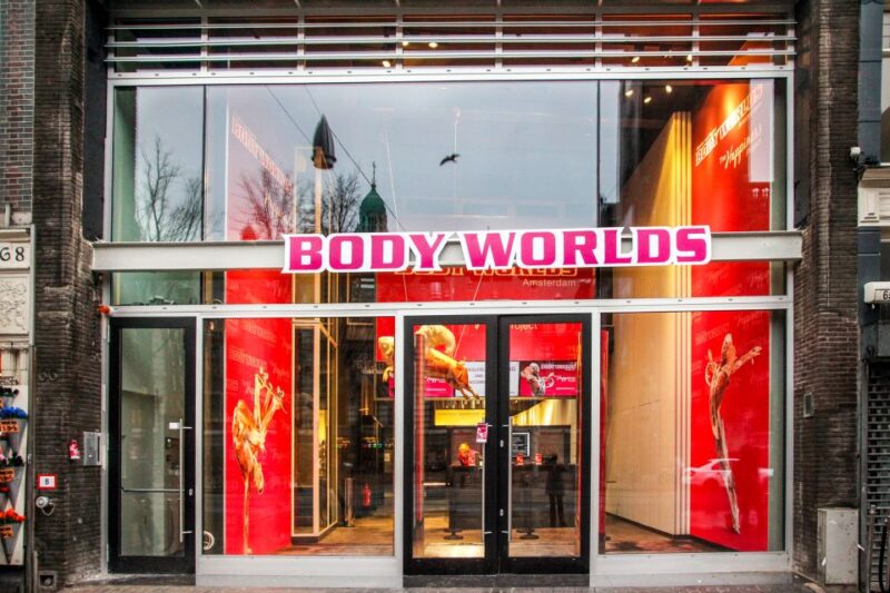 Body Worlds Amsterdam: The Happiness Project Ticket - Highlights of the Experience