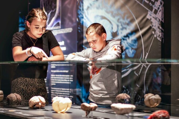 Body Worlds Amsterdam: The Happiness Project Ticket - Plan Your Visit