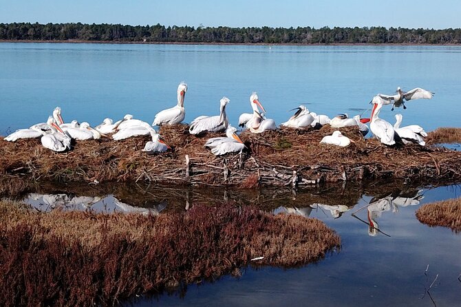 Bodyflow Experience in Karavasta Lagoon From Tirana & Durres - Pickup Locations and Start Time