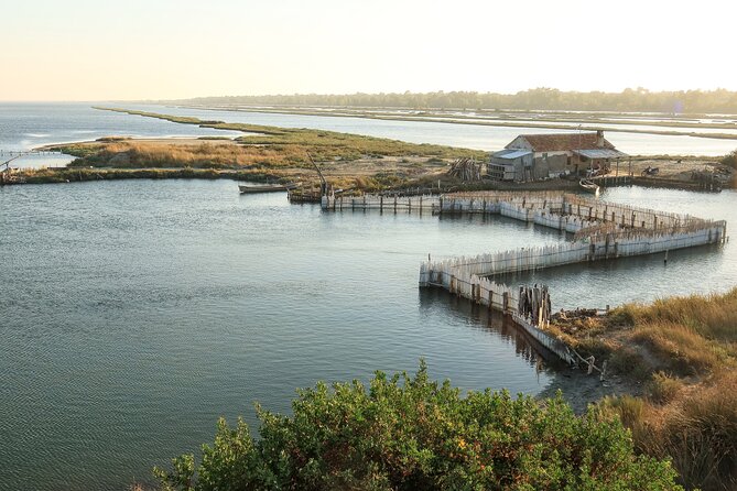 Bodyflow Experience in Karavasta Lagoon From Tirana & Durres - Confirmation and Accessibility