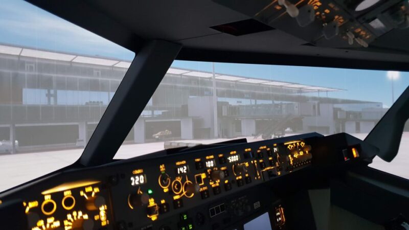 Boeing 737-800 Professional Simulator - 30 Minutes - Accessibility and Requirements