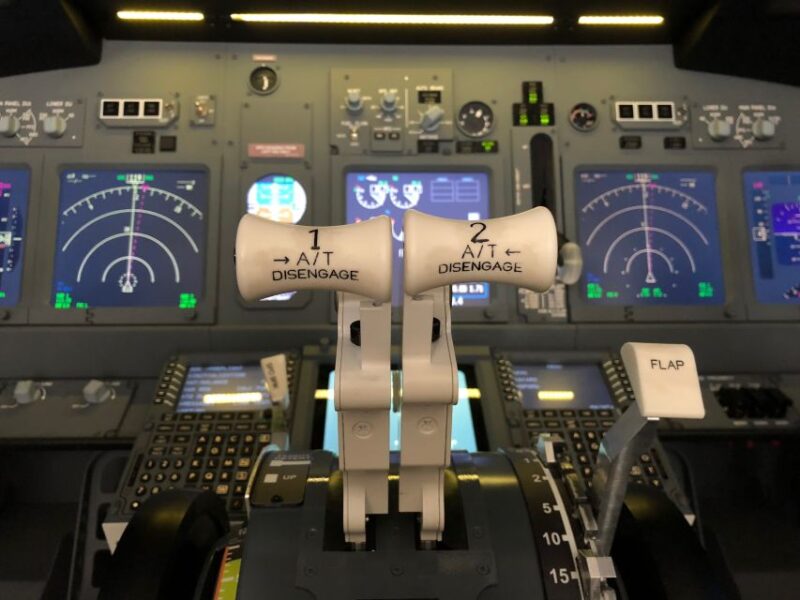 Boeing 737-800 Professional Simulator - 30 Minutes - Simulation Details