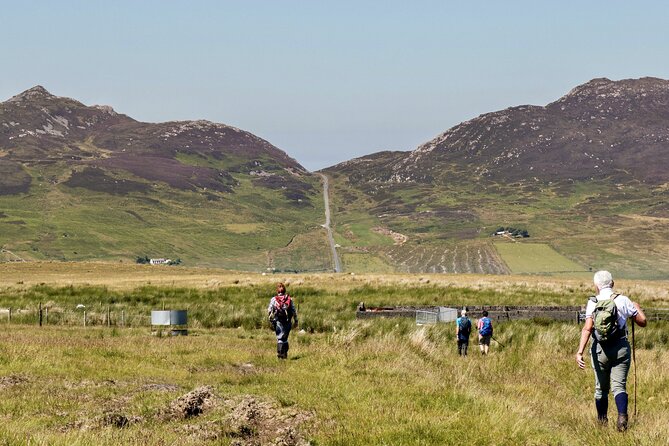 Bog Safari Hike - Key Points