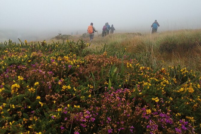 Bog Safari Hike - Booking Your Adventure