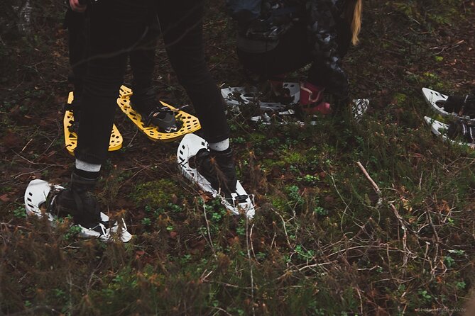 Bog-shoe Hiking Tour - Pricing Information