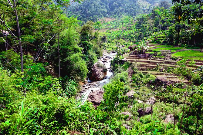 Bogor Botanical Garden, Waterfall, Mountain Springs & Rice Field - Guides and Drivers