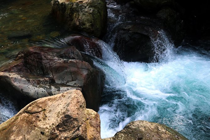 Bogor Botanical Garden, Waterfall, Mountain Springs & Rice Field - Physical Activity and Recommendations