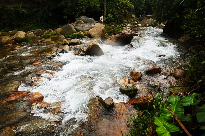 Bogor Botanical Garden, Waterfall, Mountain Springs & Rice Field - Jakarta Countryside Exploration