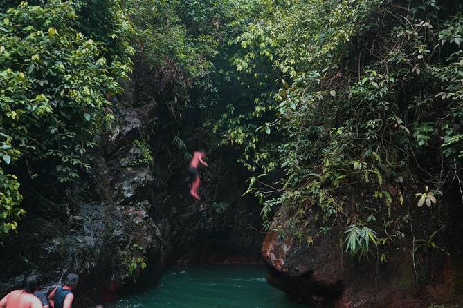 Bogor Botanical Garden, Waterfall, Mountain Springs & Rice Field - Bogor Botanical Garden Wonders