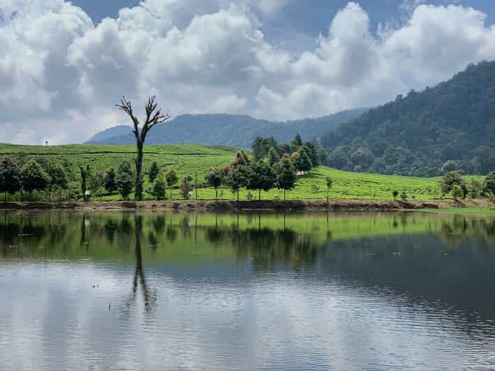 Bogor: Private Car Charter With Professional Driver - Key Points