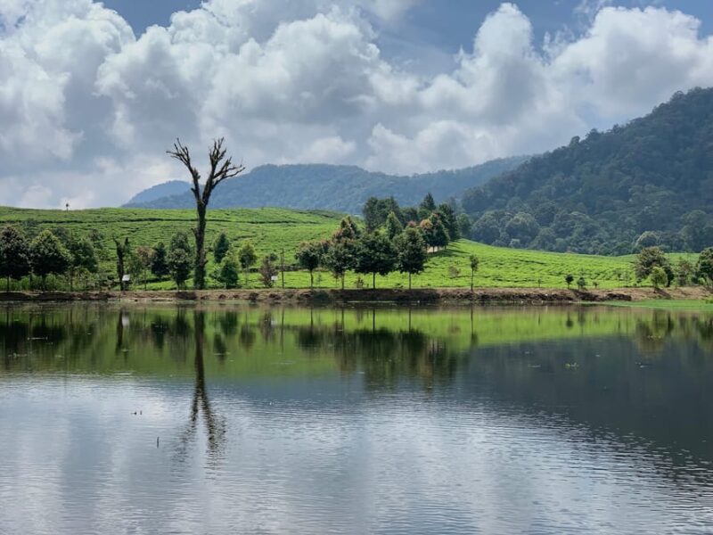 Bogor: Private Car Charter With Professional Driver - Tour Experience